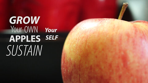 #GANITEGROWS #GROWHACK "GROW YOUR OWN APPLES"