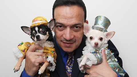 New York's Top Doggy Fashion Designer