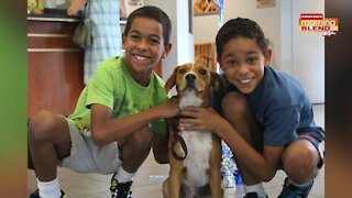 Pet Patrol SPCA Tampa Bay | Morning Blend