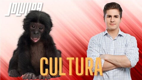 La cultura no es exclusiva de los humanos