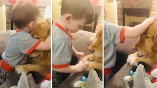 Special Bond Between Little Boy And His Golden Retriever