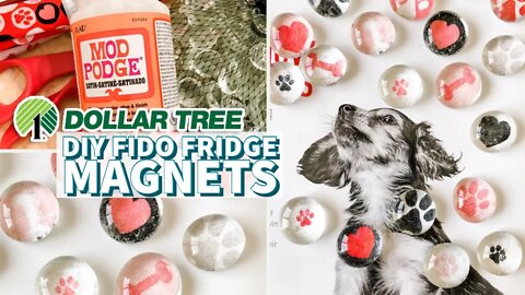 Dollar Tree DIY - Fido Fridge Magnets