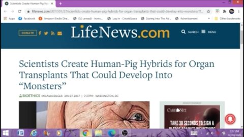 Scientists Create Human Pig Hybrids Paranormal News