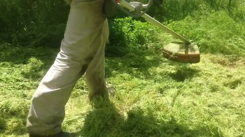 Cutting weeds with a Chinese-made bush cutter (P1)