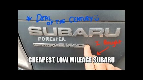 I bought the CHEAPEST, LOW MILEAGE Subaru for sale anywhere...GOOD DEAL?????