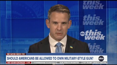 Rep Adam Kinzinger: I'm Open To Conversation On Banning AR-15's