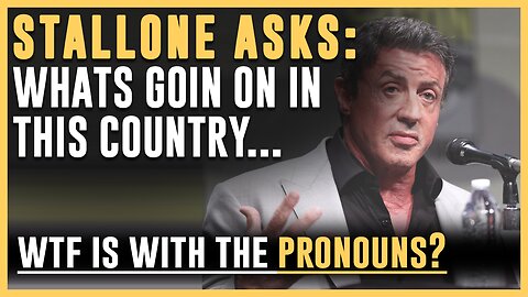 STALLONE: WHAT IS GOIN ON IN THIS COUNTRY!