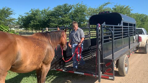 Growing up Cowboy