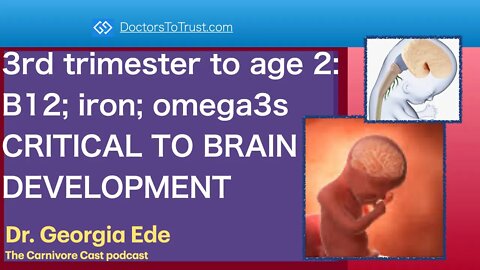 GEORGIA EDE 4 | 3rd trimester to age 2: B12; iron; omega3s CRITICAL TO BRAIN DEVELOPMENT