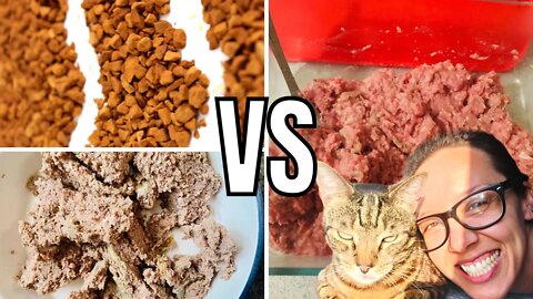 PROVEN: Raw diets are better than wet and dry cat food