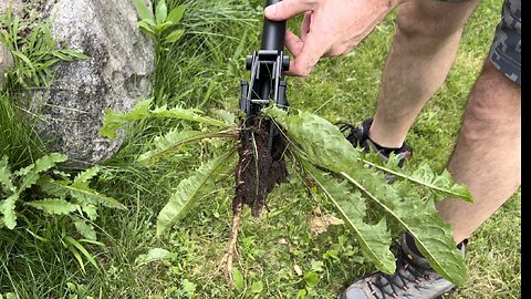 Stand Up Weed Puller Tool 43" Long Ergonomic Handle, Easily Remove Weeds without Bending Over