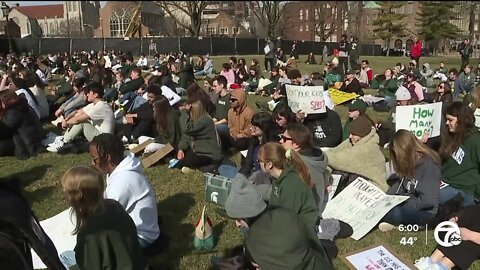 Take a Stand protest against gun violence held at Michigan capital