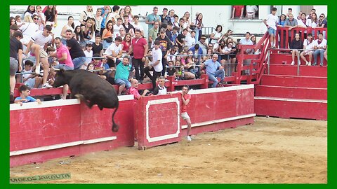 NOVALLAS ( ZARAGOZA ) TARDE VACAS PLAZA ( SABADO 1 JULIO 2023 ) GANAD.ORO VELA