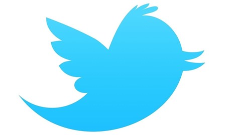 10 Curious Facts About Twitter