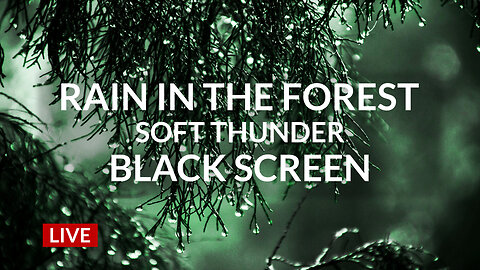 Rain In The Forest Soft Thunder Black Screen Sleep Rain Sounds, Soothing Rain Fall