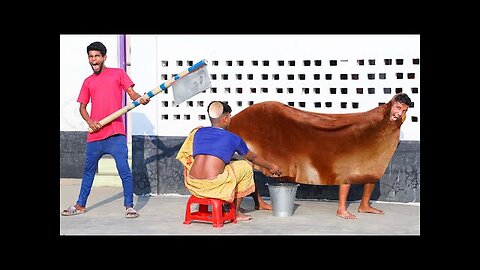 New Funniest Comedy Video 2024 😂 Amazing Totally Funny Video 2024 Episode 312 By Bidik Fun Tv