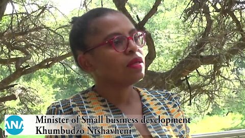 South Africa – Johannesburg – Minister of small business development (goy)