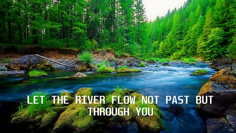 Find Serenity by a Forest River - Cleansing Beauty of Nature Encompassing Your Heart, Mind and Soul