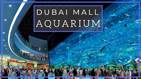 Dubai Aquarium and Underwater Zoo Guinness World Record