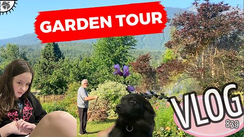 A BACKYARD TOUR, PLAYING ROBLOX, AND MORE! - July 9/23 (VLOG 839) #garden #flowers #roblox