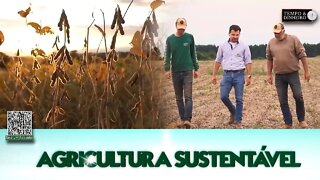 FT Sementes apresenta suas inovações no segmento de cultivares de Soja