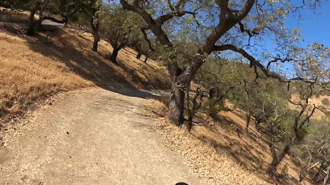 Briones Regional Park- Blue Oak Shortcut Trail