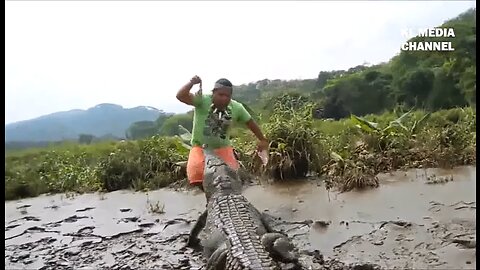 Crocodile fishing technique and tame the river king