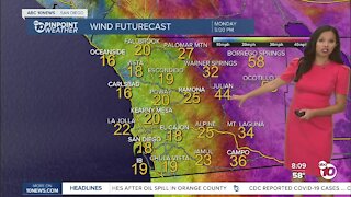 ABC 10News Pinpoint Weather for Sun. Oct. 10, 2021