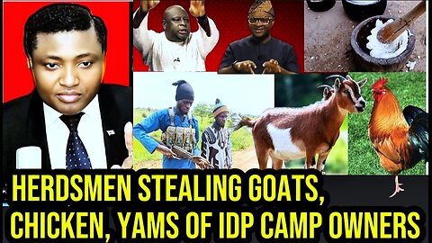 🔴 DANGER IN IDP CAMPS AS HERDSMEN STEAL GOAT, CHICKEN; COOKING POUNDED YAM IN ABANDONED COMMUNITIES