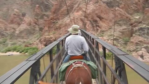 Grand Canyon Mule ride. Crossing the Colorado River at the bottom.