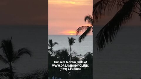 Sunsets & Stem Cells at Dream Body Clinic #stemcells #wellnessjourney #wellnessvacation #heal