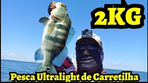 #2 Peacock Bass Blue in Brazil - Ultralight Reel Style - Pesca de Tucunaré