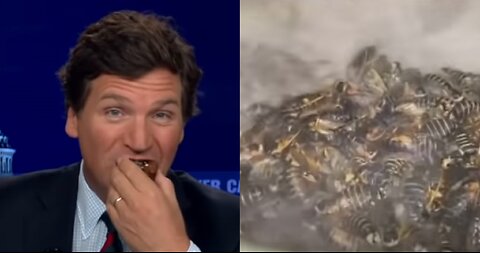 Tucker Carlson Tonight 04/14/2023 - Tucker eats the bugs (bend that knee Tucker)