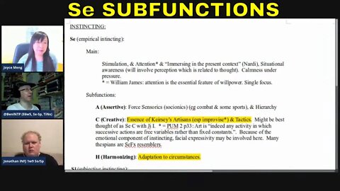 Se: Extraverting Sensing/Instincting & its #JungianSubfunctions