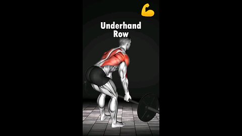 back workout