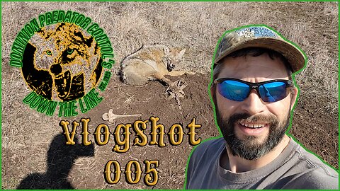 Backfoot Coyote | DPC's Down The Line VlogShot 005