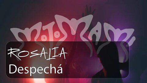 Rosalia - Despecha ♫ English - French - Spanish Lyrics