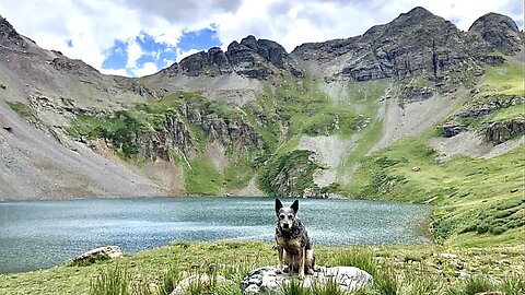 Clear Lake 4X4 Road Silverton Colorado San Juan Mountains Off Road 4WD Rocky Mountains Zippy Blue Heeler!