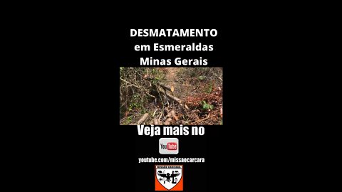 Denunciamos desmatamento na mata de cerrado