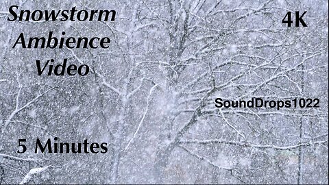 Snowfall Serenity: 5-Minute Bliss