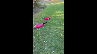 Dassie & Hessy rolling down hill at Eugene Levy Park