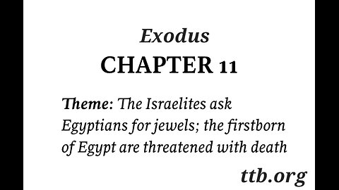 Exodus Chapter 11 (Bible Study)