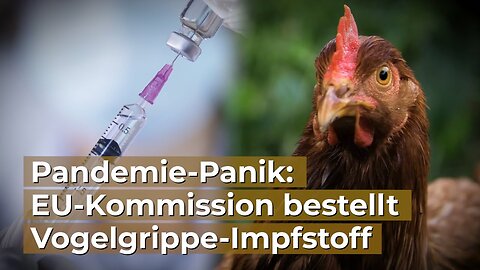 PLANdemie-Panik: EU-Kommission bestellt Vogelgrippe-Impfstoff@RTV Privatfernsehen🙈