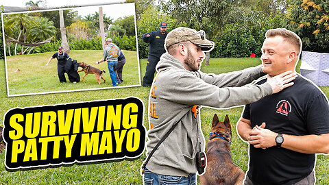 Taking a BITE from Patty Mayo's BELGIAN MALINOIS