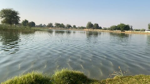 Al Qudra Lake Dubai