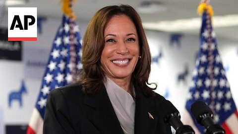 How Vice President Kamala Harris became brat-Hackerwatching