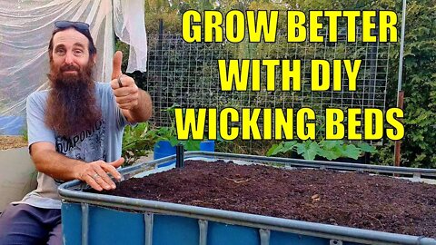 How to Make a Wicking Bed with Bread Crates | Large Water Capacity & Healthy Soils