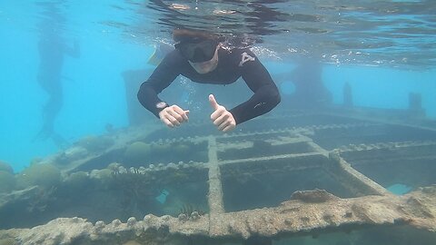 Free Diving and Lionfish Hunting, Bermuda