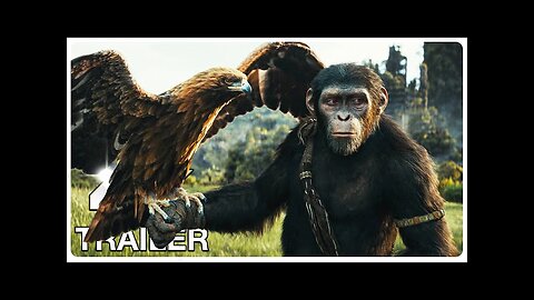 BEST UPCOMING MOVIES 2024 (New Trailers)