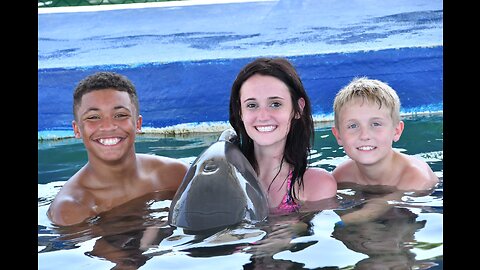 Swimming with Dolphins